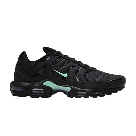 Nike Air Max Plus Black Mint Green